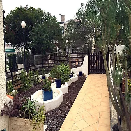 Due Mele 住宿加早餐酒店 德尔锡伦西奥海岸